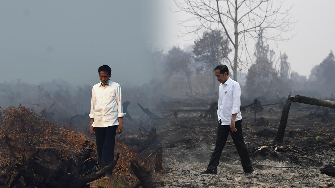 Joko Widodo, Kebakaran hutan dan lahan, Kalimantan Selatan dan Riau