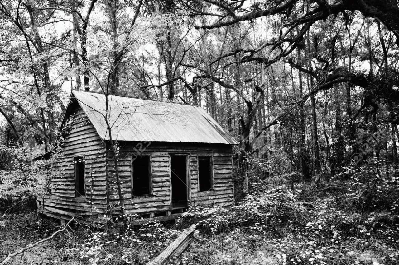 93311325-creepy-abandoned-house-deep-in-the-woods.jpg