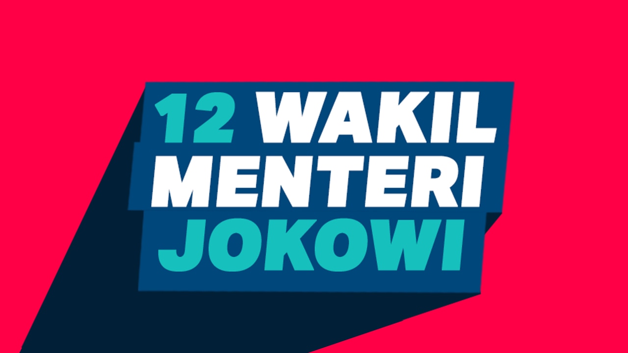 Infog 12 Wakil Menteri Jokowi