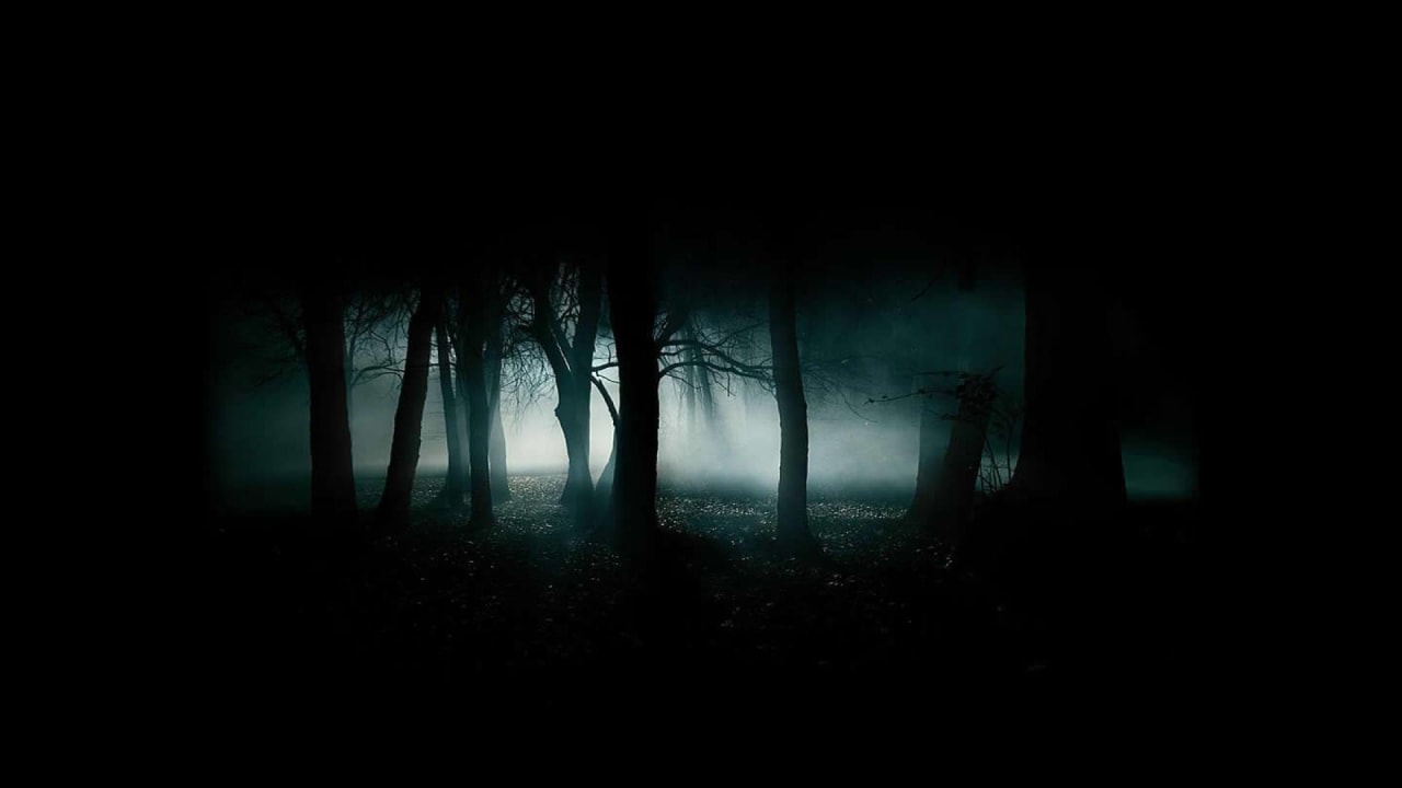 Scary-Woods-Desktop-Background.jpg