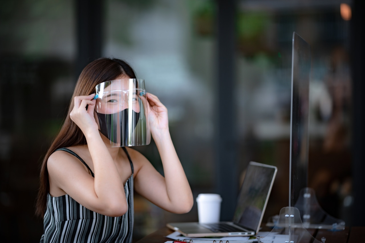 Face shield