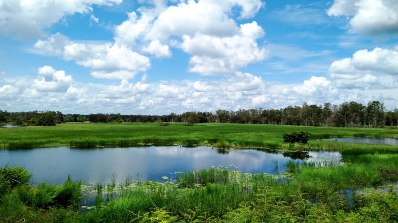 Taman Nasional Wasur