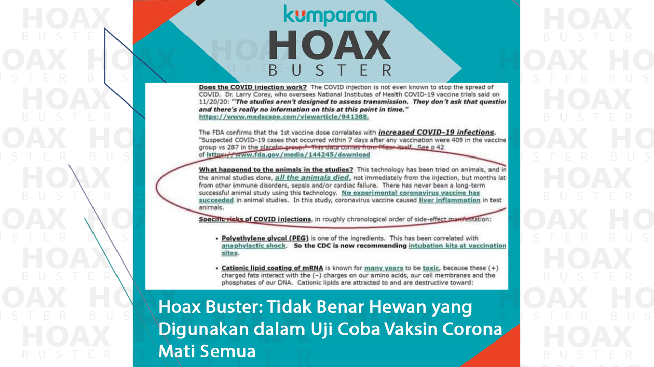 Hoaxbuster-Hewan yang Digunakan dalam Uji Coba Vaksin Corona