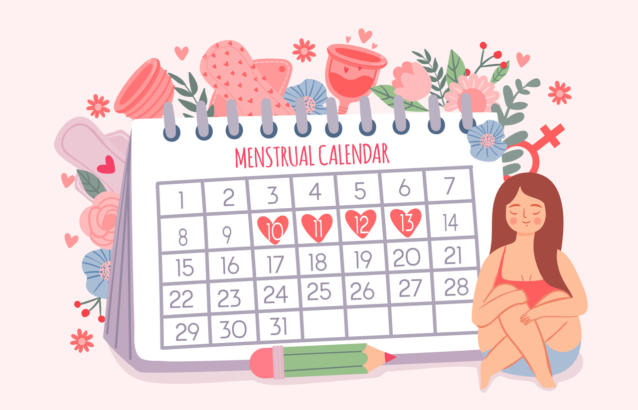 Ilustrasi siklus menstruasi