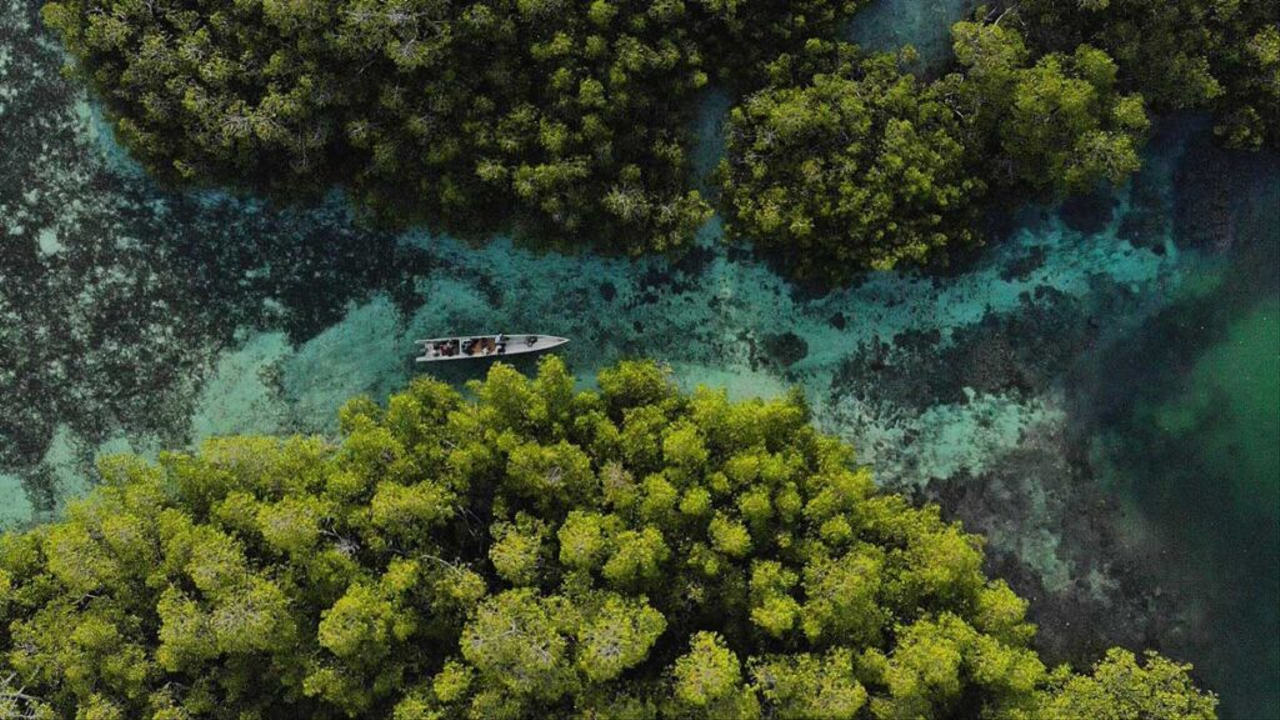 Ilustrasi keindahan alam Papua