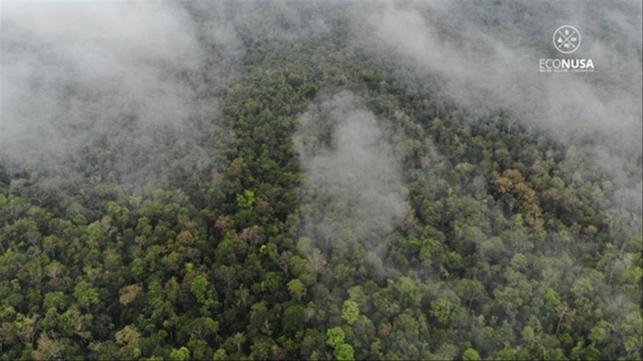 Bentang alam di Tanah Papua