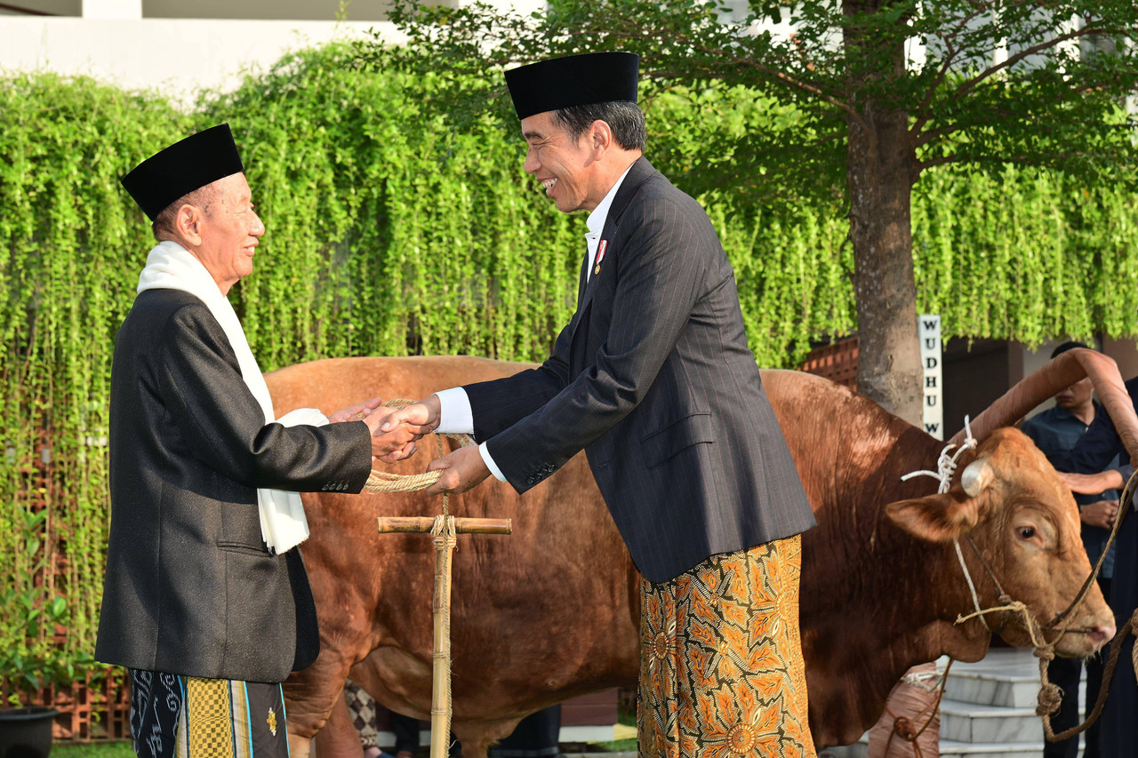 Jokowi menyerahkan sapi kurban