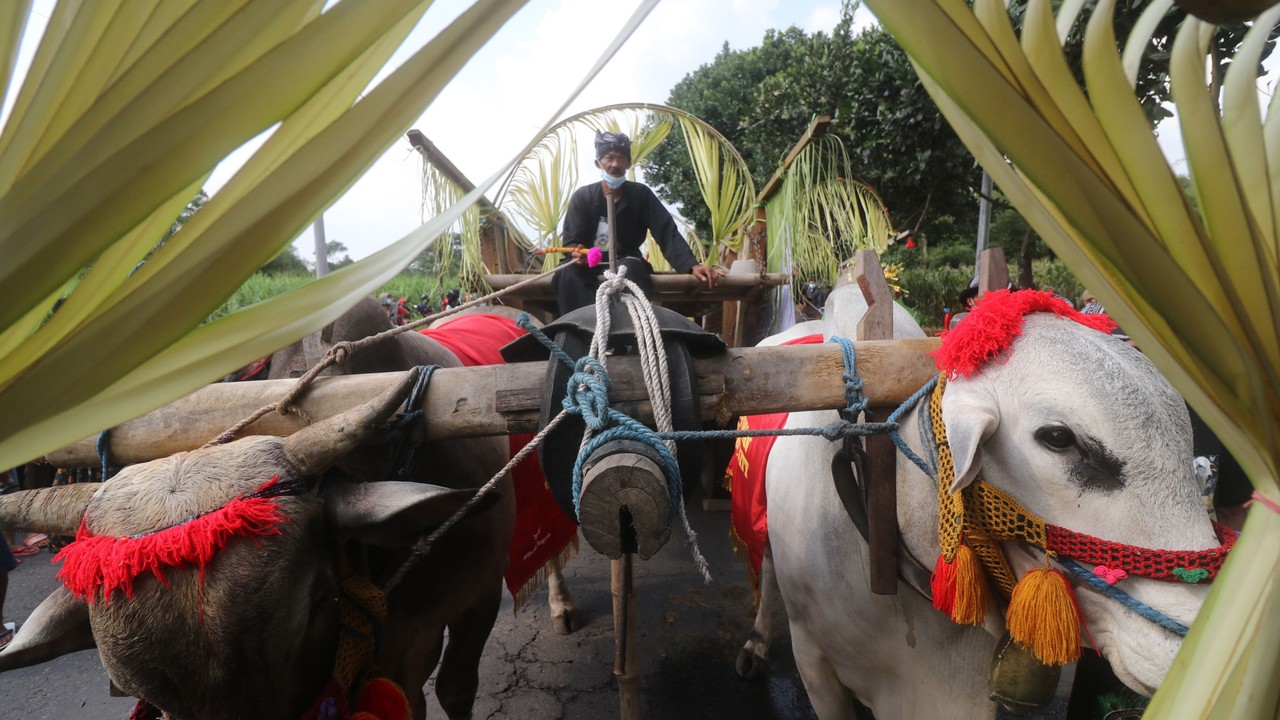 Parade Cikar- Kediri