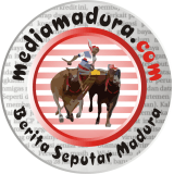 mediamadura.com 