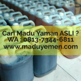Madu Yaman Gold Hubungi 0813 7344 6811