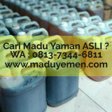 Khasiat Madu Lebah Yaman Hubungi 0813 7344 6811