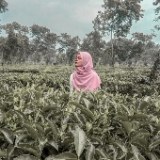 Dian Novita Anggraeni