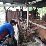 Pertamina Curhat Kesulitan Cari Pekerja Untuk Ladang Minyak Di Aljazair Kumparan Com