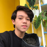 Muhammad Adam 