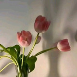 Lailatul Towilah