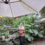 Della Novi Setiya Budi