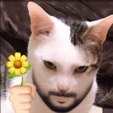 Juan Frans