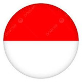 Literasi Digital Indonesia