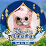 PP kucing PP kucing