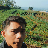 Alfian Teguh