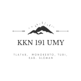 KKN 191 UMY