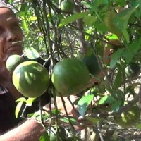 55 Kursi Roda Jalan Sendiri Di Rsud Pamekasan Gratis Terbaik