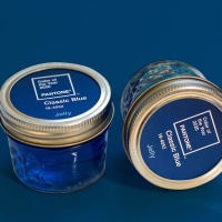 Bikin Instagrammu Makin Seru dengan Warna Biru Klasik 