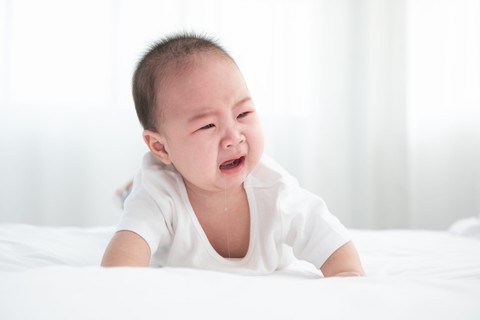  sutlafk/Shutterstock