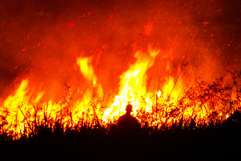 Seorang petugas pemadam kebakaran Indonesia berjuang melawan kebakaran hutan di Ogan Ilir, Sumatera Selatan, 22 Agustus 2019. Foto: ABDUL QODIR/AFP