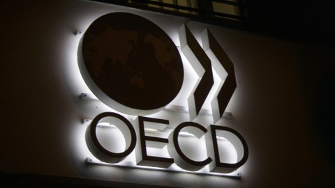 Ilustrasi OECD. Foto: 360b/Shutterstock