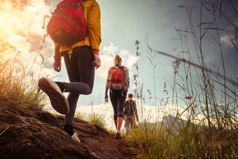 Ilustrasi pendaki yang sedang hiking di gunung. Foto: Dudarev Mikhail/Shutterstock