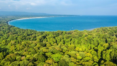 Foto udara bentang alam Taman Nasional Ujung Kulon, Banten. Foto: Muhammad Adimaja/Antara Foto