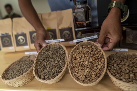 Ilustrasi Kopi Indonesia.  Foto: ANTARA FOTO/Aprillio Akbar