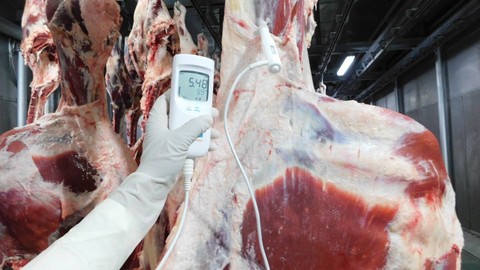 Bulog Inspeksi Lokasi Pembelian Daging di India, memastikan daging kerbau beku impor bebas PMK. Foto: Bulog