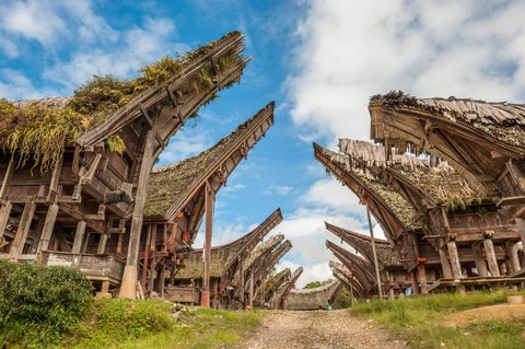 Tongkonan, rumah adat orang Toraja. Foto: Dok. Pegipegi