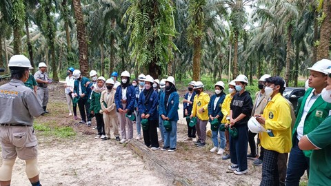 Kunjungan Industri Tanoto Scholars Gathering 2022 di RGE Group, ke salah satu kebun sawit di bawah RGE Group di Pangkalan Kerinci, Riau, Selasa (5/7/2022). Foto: Annisa Thahira Madina/kumparan