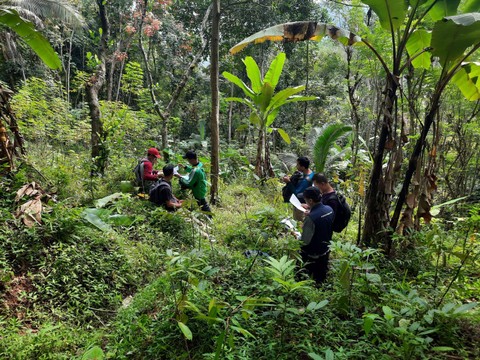 Panitia Pengadaan Tanah (P2T) Proyek Bendungan Bener saat melakukan pengukuran di Desa Wadas.  Foto: Dok. Istimewa