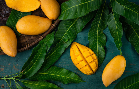 Ilustrasi mangga. Foto: Shutterstock