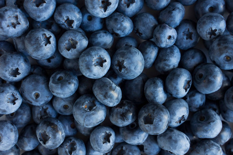 Ilustrasi Blueberry. Foto: Shutterstock