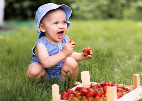 Ilustrasi bayi makan stroberi.  Foto: Ellona Kritskaya/Shutterstock 