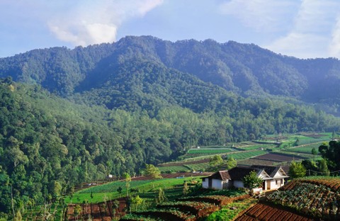 Ilustrasi desa di Indonesia. Foto: Ukiq Outdsign/Shutterstock