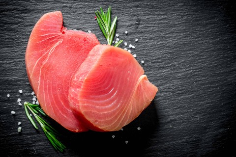 Ilustrasi ikan tuna. Foto: Olesya_sh/Shutterstock
