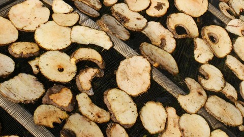 Rajangan atau chips umbi porang di Wungu, Kabupaten Madiun, Jawa Timur, Kamis (22/9/2022). Foto: Siswowidodo/Antara Foto