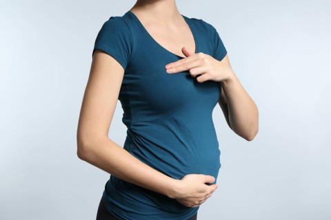 Ilustrasi nyeri payudara pada ibu hamil. Foto: Aquarius Studio/Shutterstock