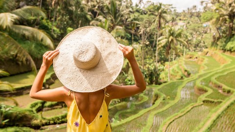 Ilustrasi healing di pedesaan. Foto: Nikkolia/Shutterstock