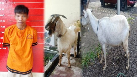 Warga Sumatera Selatan Ditangkap Akibat Curi Kambing di Lampung (2)