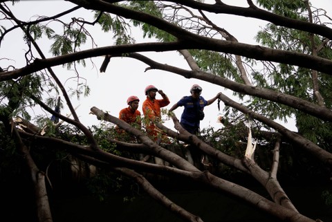 SEBAGAI ILUSTRASI: Petugas melihat pohon tumbang di kawasan Kalibata, Jakarta Selatan, Sabtu (5/11/2022). Foto: Jamal Ramadhan/kumparan