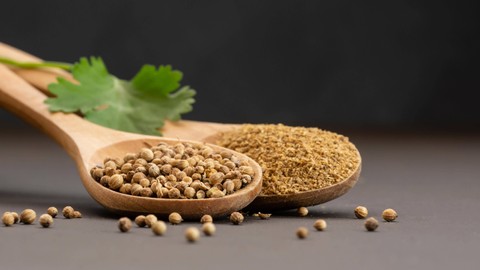 Ilustrasi biji ketumbar untuk atasi keputihan. Foto: Halil ibrahim mescioglu/Shutterstock