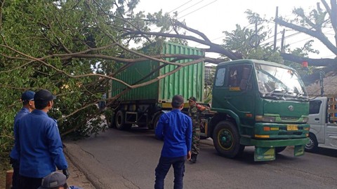 Jakarta Diguyur Hujan Deras & Angin Kencang, 9 Pohon Tumbang Timpa Rumah-Gereja