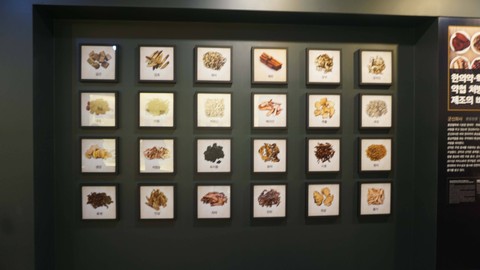 Menyaksikan Sejarah Pengobatan Tradisional Korea di Seoul K-Medi Center (7)